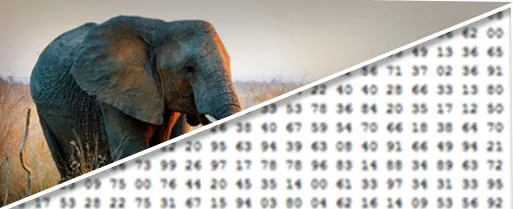 CNN for Image Classification: A Guide